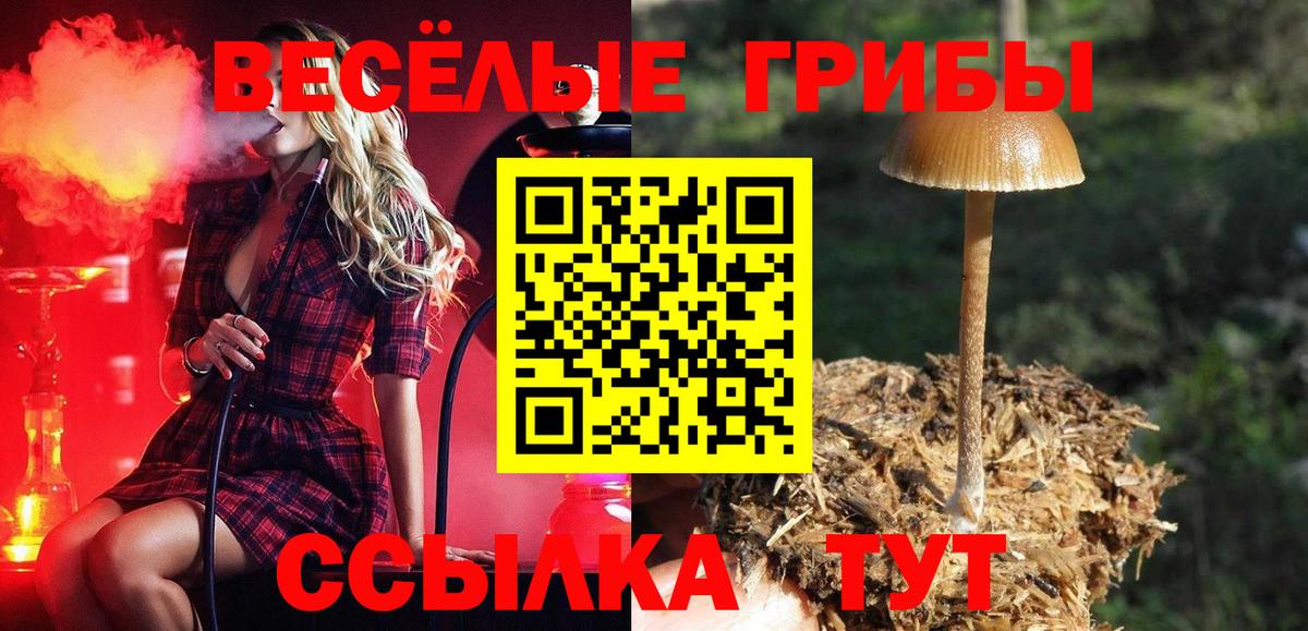 Галлюциногенные грибы Cubensis Грязи